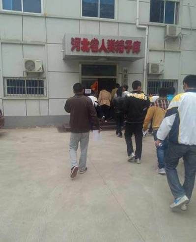 学生们走进河北省人类精子库办公楼。图片由网友拍摄