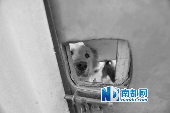     ����վ�Ĺ����Ŷ����⿴��������������͵��9�������϶����� ����� ��