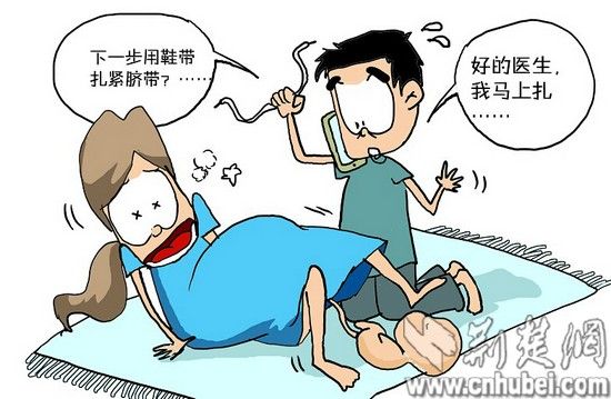 楚天都市报制图 楚天都市报制图