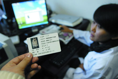 大连为宠物狗办理电子身份证(组图)