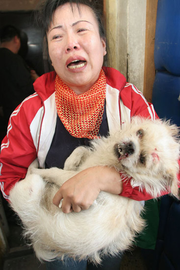 图文:长春市民丁女士宠物狗被打死