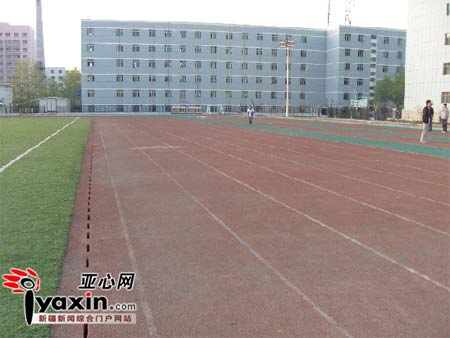 研究生做引体向上时拉倒球门被砸身亡(组图)