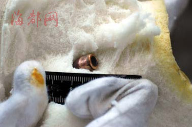 商人遭枪杀奥迪被抢案续:疑犯省外落网(组图)