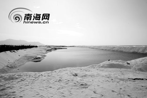 村民为拿征地补偿给墓地种上青苗(组图)