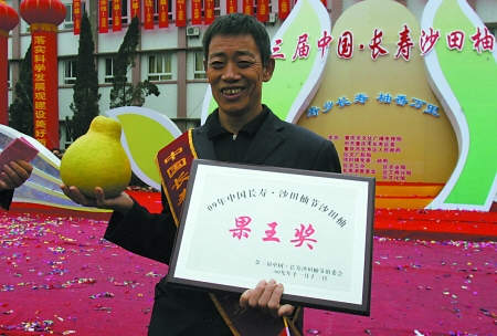 图文：重庆一只沙田柚拍卖到33000元