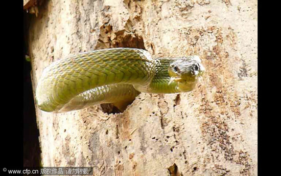 ��ͼ����ľ��Ϊ����Ѩ�¶�����