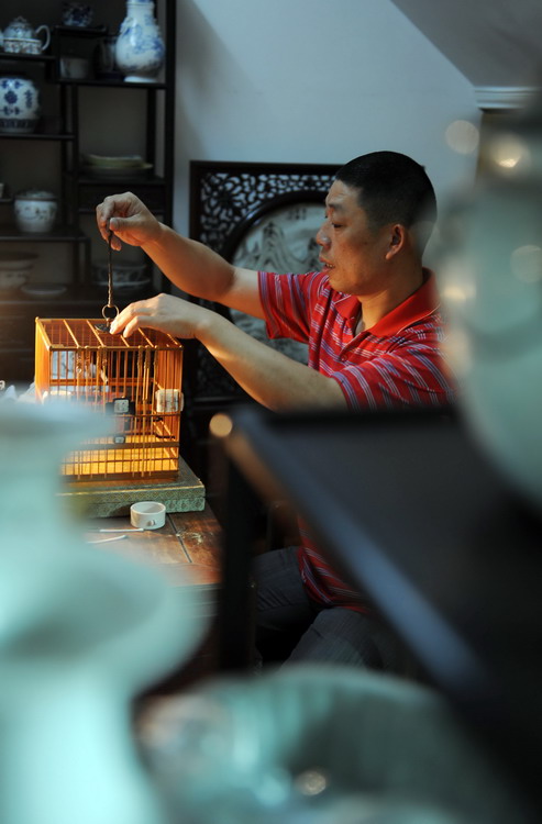 图文:杨志强家中有专门调教黄腾鸟的工作室