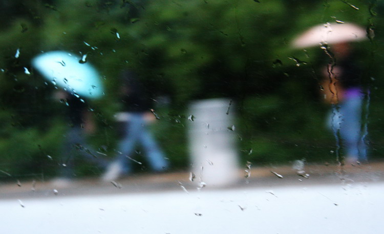 图文:市民在雨中前行