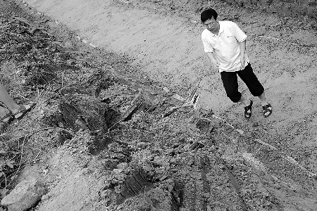 施工方破坏汉墓群文保人员阻止挖掘被抬走(图)