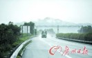 ʬ��ҹ�����ڸ���· ����ʮ�������δ����(ͼ)