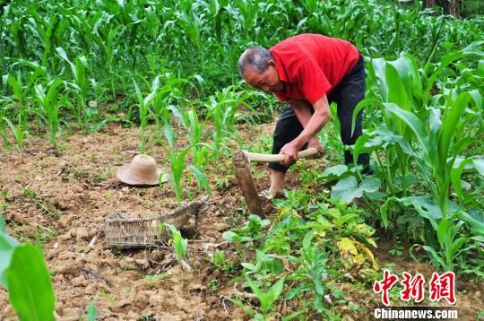 ͼΪ���������ڵ���������� л���� ��