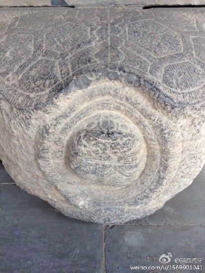 ���ѡ����족�󵨲²⣬��Ϊ���ϵ��²�������ô�������䣬��������ôһֻ��ͷ�ꣿ