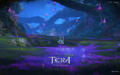 TERA���¹ٷ���ֽ��