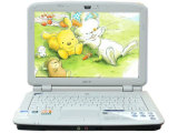 Acer Aspire 4310(400508Ci)