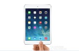 ƻ�� iPad mini 2