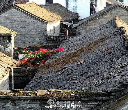 图片版权归原作者所有