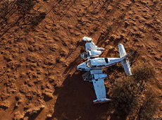 Ѱ�һ�Ұ�����Щ�ɻ��к�