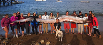 ��������ǱˮԱ����6�׳��ʴ���