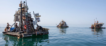 �������ҵ����Ư������������ľ��