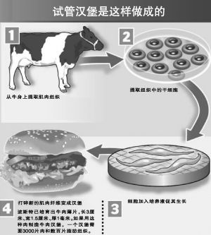试管汉堡年内面世一个200万元