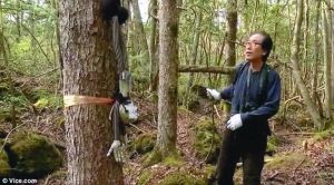 富士山下有个“自杀森林”