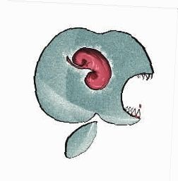 高中生卖肾买苹果案今日开庭