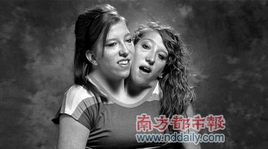 ��������ý����ȹ�22��