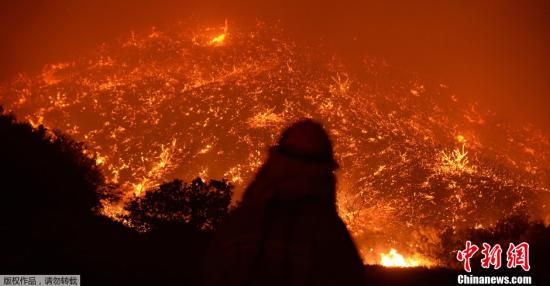 美国加州南部发生山火 近3000人紧急疏散|山火