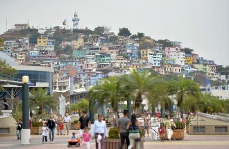 �ձ�פ��϶����ʹ��1��3��͸¶��һ�����������е��ձ����ڹ��ǻ�����ǹ����һ��һ�ˡ�ͼΪ���ǻ����־�������2013��10�¡�