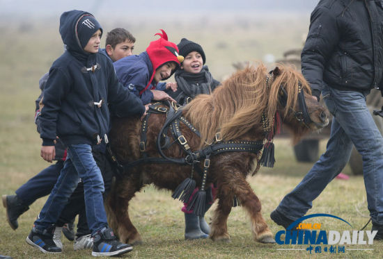 罗马尼亚人纵马驰骋庆祝主显节 矮脚小马萌翻镜头[1]- 中文国际_新浪新闻