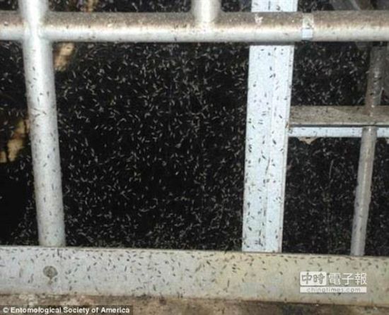 俄将禁止使用苹果公司产品法令自2015年生效