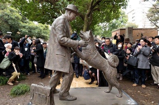 忠犬八公与主人90年后重聚东大铜像正式亮相