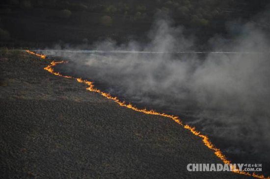 切尔诺贝利核电站周围森林大火 乌总理直升机