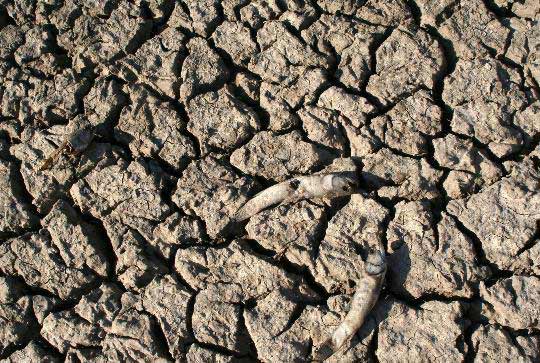 组图：巴拉圭发生严重旱灾河流干涸