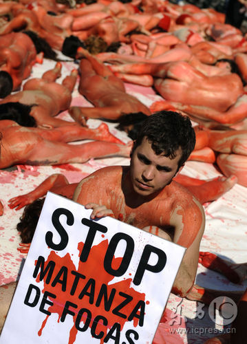 组图:西班牙动物保护团体抗议屠杀海豹