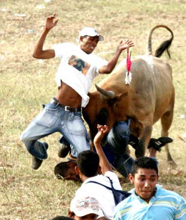 组图：哥伦比亚举行民间斗牛节