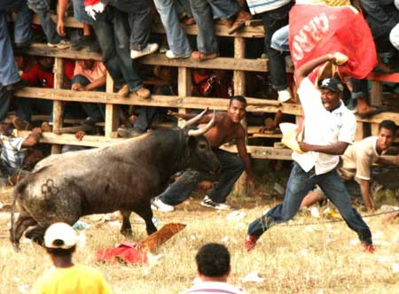 组图：哥伦比亚举行民间斗牛节