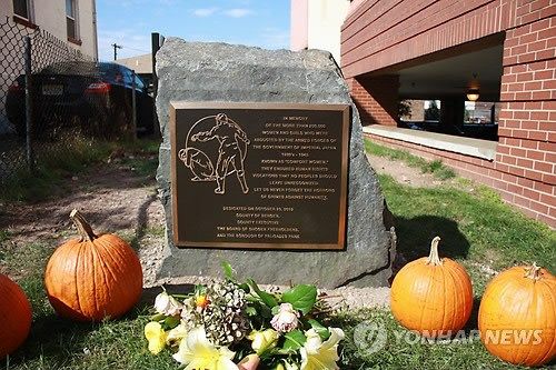 �������������ձ���ο����׷����