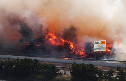 西班牙森林大火已致4死23伤(图)|森林火灾|