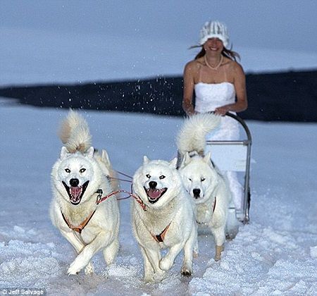  ��������ѩ��ɴ�ա�   
