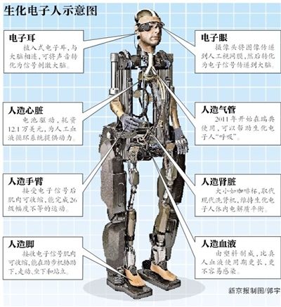 ��ţ������������˵�ܺ���