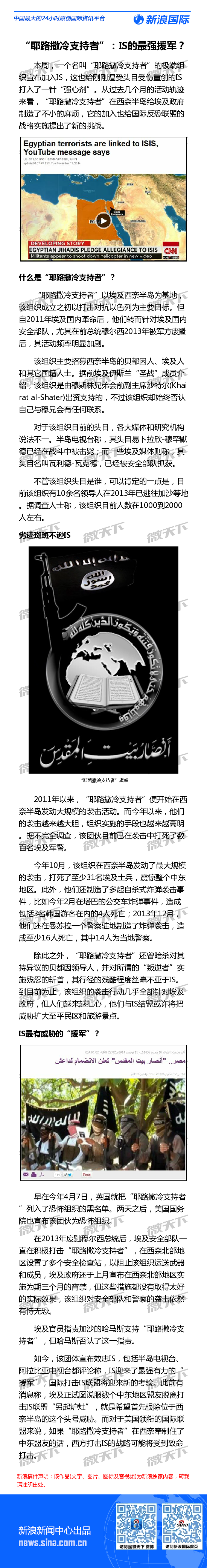 “耶路撒冷支持者”：IS的最强援军？ 