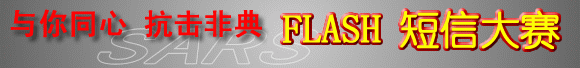 ͬ ǵ FLASH