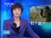 利比亚反对派提出双方停火条件
