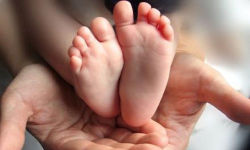 �ձ�Ů��Ϊ��������δ�����衱��