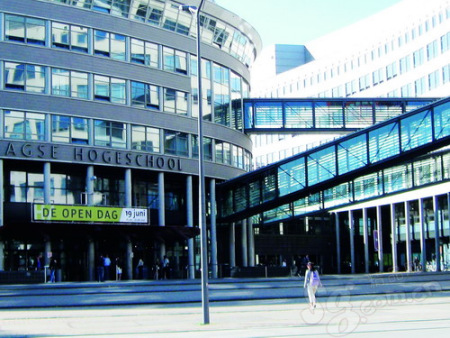 吟游名校书香之旅篇外篇之海牙大学(组图)