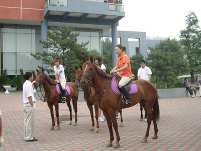 北京汇佳职业学院特色专业马术与管理 北京汇佳职业学院特色专业马术与管理