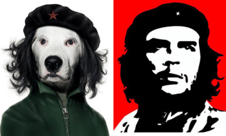 ӢС(Che Guevara)
