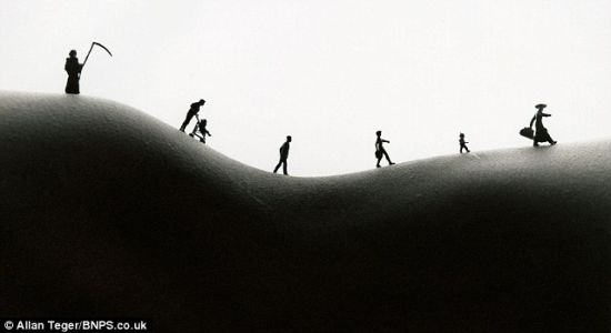 �����ϵ���ż