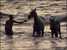A man holding two horses in the sea 
